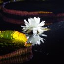 빅토리아여관 이미지