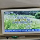 유메이드카페 이미지