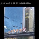 가야중학교 | 안뇽허삽니까
