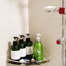 솔무인텔 이미지