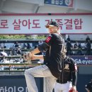 위즈 일간스포츠