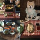 처음처럼 애견펜션 | 태안 풍경펜션 : 가성비 오션뷰 애견동반 숙소 추천 숯불 야키토리 일본가정식 조식 그린나래 솔직후기