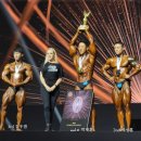 한국체형미 이미지