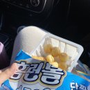 팡팡복권방 이미지