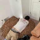 리치펫동물병원 이미지