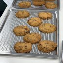 배곧1동 행정복지센터 이미지