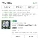 [싸이 콘서트 + 장마철 준비] 크룩스 +지비츠 참 구매 & 실사용 후기