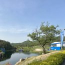 갤러리골프 | 18개월 아기랑 골프 갤러리 가능할까? 직접 다녀온 현실 후기