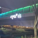 홍룡수제만두 | 세종 만두 맛집 종촌동 홍룡수제만두 포장 김치 고기 모시떡 내돈내산 후기