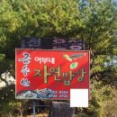 금수산식당 | 제천 금수산 어부네 매운탕이 있는 옥순봉 출렁다리 여행