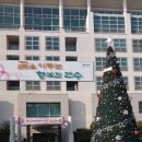 비올라 | 12월의 비올라 후기 : 끝맺음과 시작