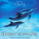 [연속듣기-뉴에이지, 자연 명상] Dan Gibson의 Solitudes시리즈 Angels of The Sea 수록곡 이미지