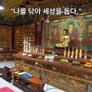 고요환경 이미지