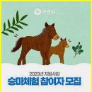 구리승마장 | 취미와 운동 사이 딱 좋았던 구리승마장 후기