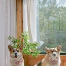 아주운동장 이미지