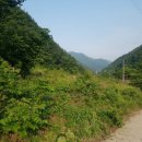 자연인펜션민박 이미지