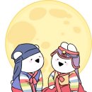 헤일로크로스핏