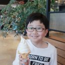 유준 소프트 이미지