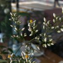 [카모메그림책방 배움터] 그림책으로） 나를 만나는 시간 이미지