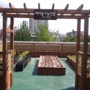 신탄진동주민센터 이미지