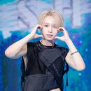 세븐라인 이미지