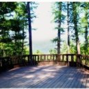 대궐오토캠핑장 이미지