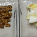 영덕경찰서 옆 이미지