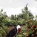 고고농장 이미지