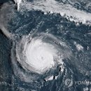 해일통상 이미지