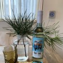 제제게스트하우스 이미지