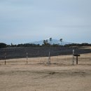 소들의 천국 이미지