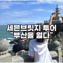 주식회사 마린파크 | 초록배낭 부산관광공사 함께하는 세븐브릿지투어 당일치기 부산 여행