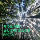 전환점/숲속길/낮잠 | 제주도 숲길 추천 사려니숲길 주차 비자림 소요시간 거문오름 예약