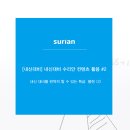 수리안