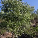 심산농장 이미지