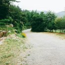 앳더몬&캠핑장 이미지