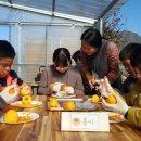 정서농장 이미지