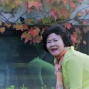 일성농장 이미지