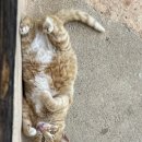 지례식당