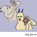 쉼이있는자유 네이버블로그