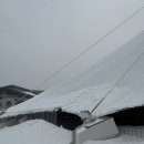 알펜시아콘서트홀 | 방학 끝 스트레스, 알펜시아 오션700으로 풍덩! 물놀이가 답이다!