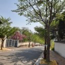 동궁유스호스텔 이미지