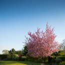 복산동-2 이미지