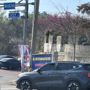 훈련장 | [울산과학화예비군 훈련장] 예비군 훈련 후기(주차, 훈련, 조기퇴소)