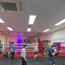 과천복싱체육관 이미지