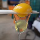 등고개2 이미지