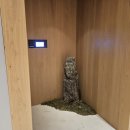 쟈스민2 이미지