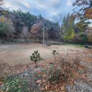 그라시아펜션 | 여행_ 아산 펜션 추천 TOP｜그라시아펜션 후기｜개별바비큐·넓은방·가족단체 숙소