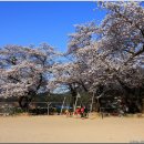 월평초등학교 이미지