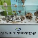 장자호수공원 생태체험관 이미지